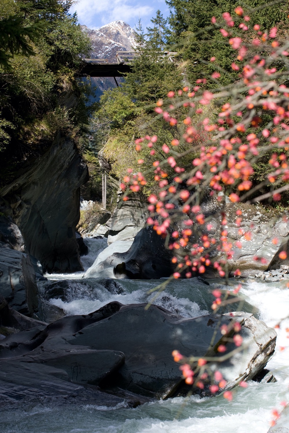 soundservice-prossegg-2010